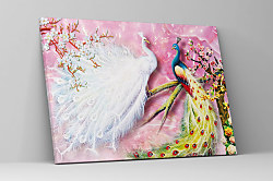 Obraz Pávia krása 1847